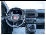 FIAT Panda 1.0 70CV Hybrid #PRONTA CONSEGNA