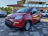 FIAT Panda 1.0 70CV Hybrid #PRONTA CONSEGNA