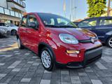 FIAT Panda 1.0 70CV Hybrid #PRONTA CONSEGNA