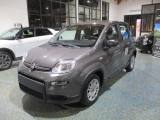 FIAT Panda 1.0 70Cv Hybrid 2023 - Ok Neopat. P.CONSEGNA