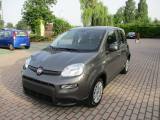 FIAT Panda 1.0 FireFly S&S Hybrid - BLUETOOTH/Sensori