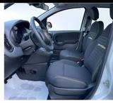 FIAT Panda 1.0 70CV FireFly S&S Hybrid #VARI COLORI