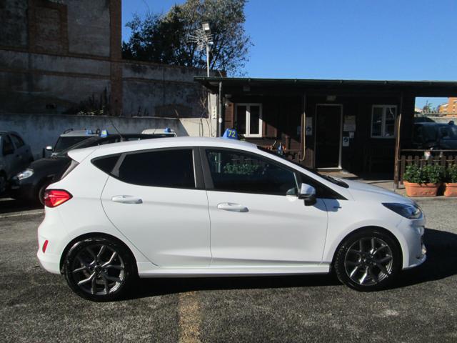 FORD Fiesta 1.0 Ecoboost 100 CV 5 porte ST-Line Immagine 1