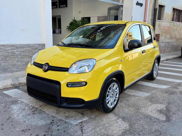 FIAT Panda 1.0 FireFly S&S Hybrid Pandina Immagine 0