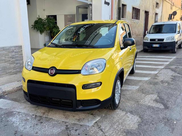 FIAT Panda 1.0 FireFly S&S Hybrid Pandina Immagine 1