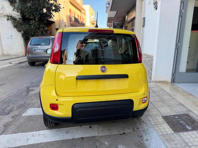 FIAT Panda 1.0 FireFly S&S Hybrid Pandina Immagine 3