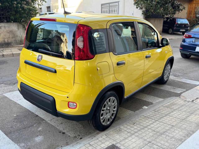 FIAT Panda 1.0 FireFly S&S Hybrid Pandina Immagine 4