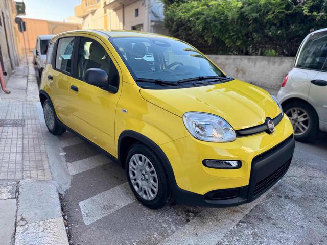 FIAT Panda 1.0 FireFly S&S Hybrid Pandina Immagine 2