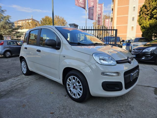 FIAT Panda 1.2 Easy Immagine 2