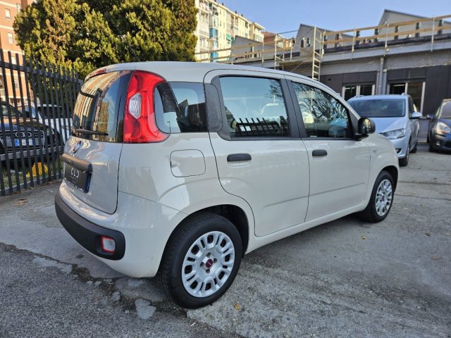 FIAT Panda 1.2 Easy Immagine 3