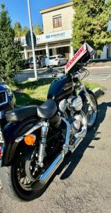 HARLEY-DAVIDSON 883C Sportster Custom XL sportster xl