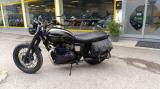 TRIUMPH Bonneville T100 bonneville t100