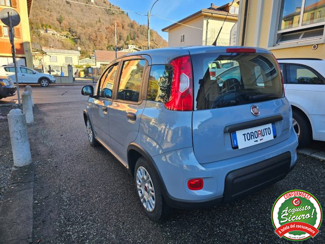 FIAT Panda 1.0 FireFly S&S Hybrid Immagine 2