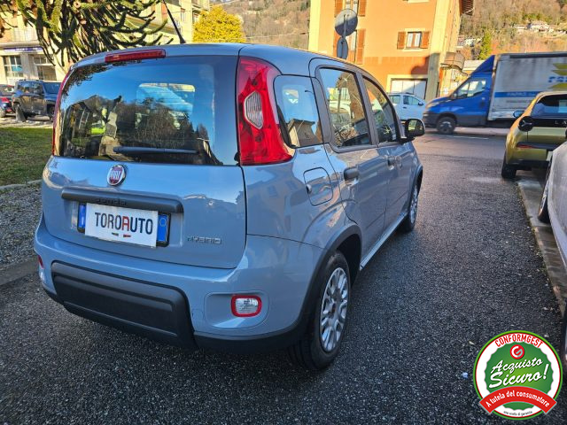 FIAT Panda 1.0 FireFly S&S Hybrid Immagine 3