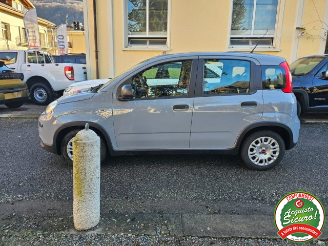 FIAT Panda 1.0 FireFly S&S Hybrid Immagine 4