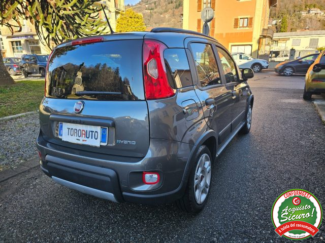 FIAT Panda 1.0 FireFly S&S Hybrid City Life Immagine 3