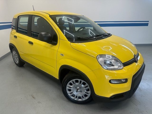 FIAT Panda 3ª serie -  1.0 FireFly S&S Hybrid Garmin Immagine 3