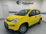 FIAT Panda 3ª serie -  1.0 FireFly S&S Hybrid Garmin