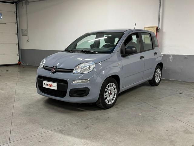 FIAT Panda 1.0 FireFly S&S Hybrid Easy 5 Posti Immagine 2