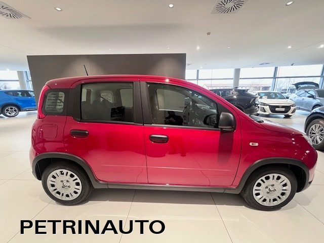 FIAT Panda 1.0 FireFly S&S Hybrid Pack City+Kit 5p Km.0 Immagine 3