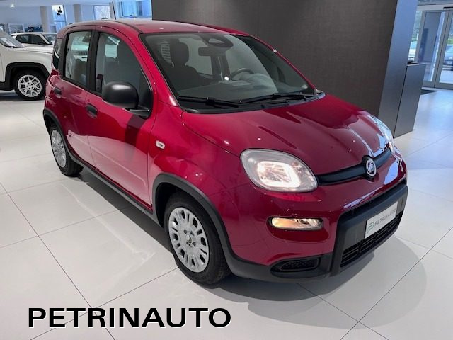 FIAT Panda 1.0 FireFly S&S Hybrid Pack City+Kit 5p Km.0 Immagine 2