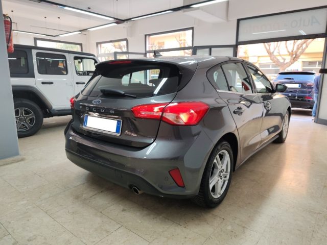 FORD Focus 1.5 EcoBlue 120 CV 5p. Business Immagine 3