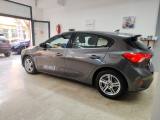 FORD Focus 1.5 EcoBlue 120 CV 5p. Business