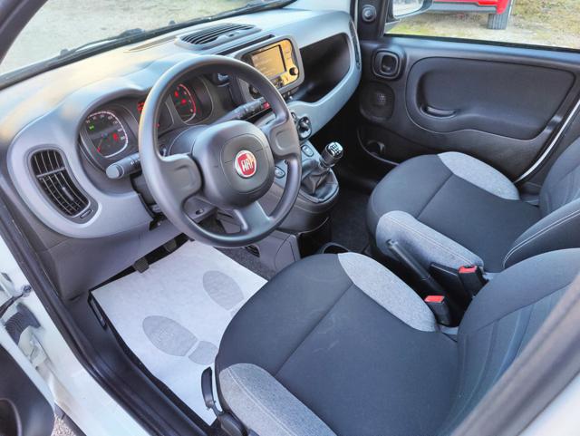 FIAT Panda 1.0 FireFly S&S Hybrid City Life Immagine 4