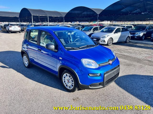 FIAT Panda 1.0 FireFly S&S Hybrid Immagine 1