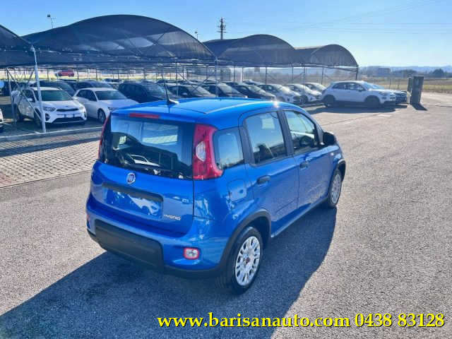 FIAT Panda 1.0 FireFly S&S Hybrid Immagine 2