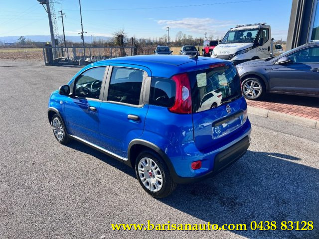 FIAT Panda 1.0 FireFly S&S Hybrid Immagine 3