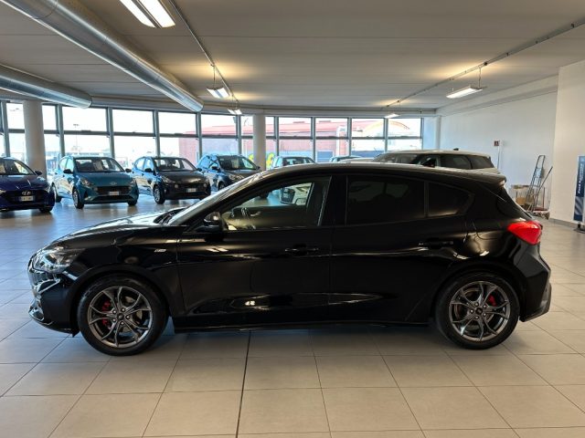 FORD Focus 1.500 DIESEL 120 CV ST-Line Immagine 3