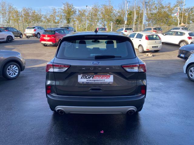 FORD Kuga 1.5 EcoBlue 120 CV 2WD Titanium Business Immagine 3