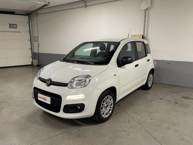 FIAT Panda 1.2 Easy Immagine 2