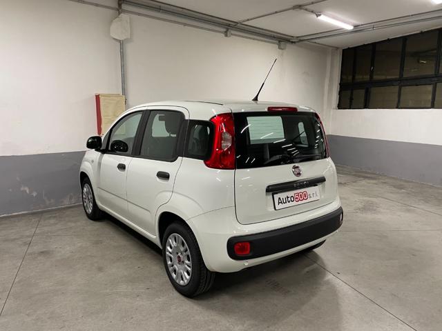 FIAT Panda 1.2 Easy Immagine 4