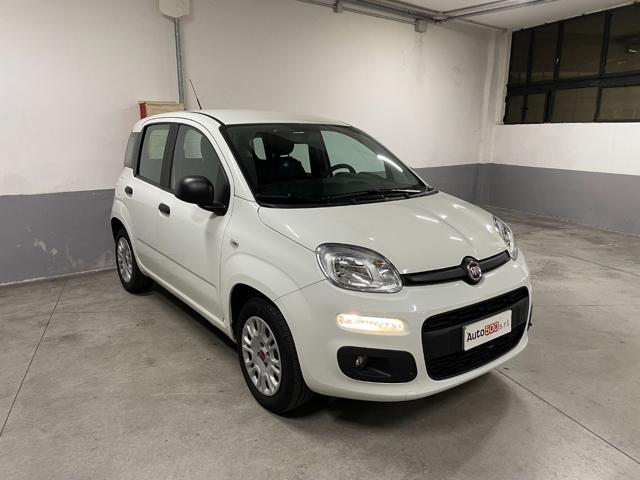 FIAT Panda 1.2 Easy Immagine 1