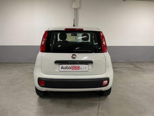 FIAT Panda 1.2 Easy Immagine 3