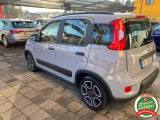 FIAT Panda 1.0 hybrid City Life Clima automatico/Monitor Big