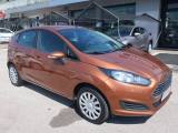 FORD Fiesta 5p 1.2 Business 65cv- Tagl. Ford - Per Neopat.