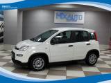 FIAT Panda Hybrid 1.0 FireFly 70cv EU6