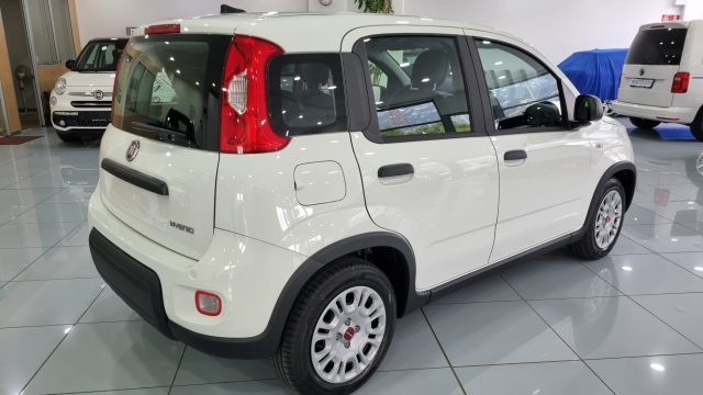 FIAT Panda 1.0Hybrid 5 Posti sensori adas Immagine 3