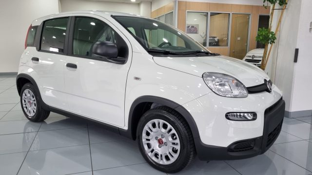 FIAT Panda 1.0Hybrid 5 Posti sensori adas Immagine 1