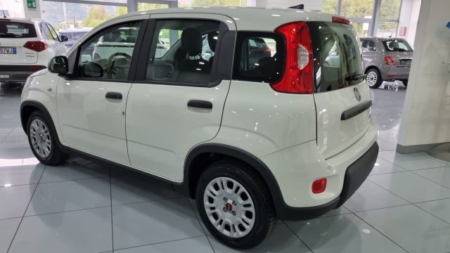 FIAT Panda 1.0Hybrid 5 Posti sensori adas Immagine 2