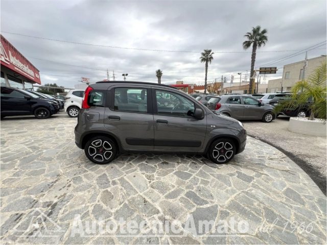 FIAT Panda 3° serie 1.0 FireFly S&S Hybrid City Life Immagine 3