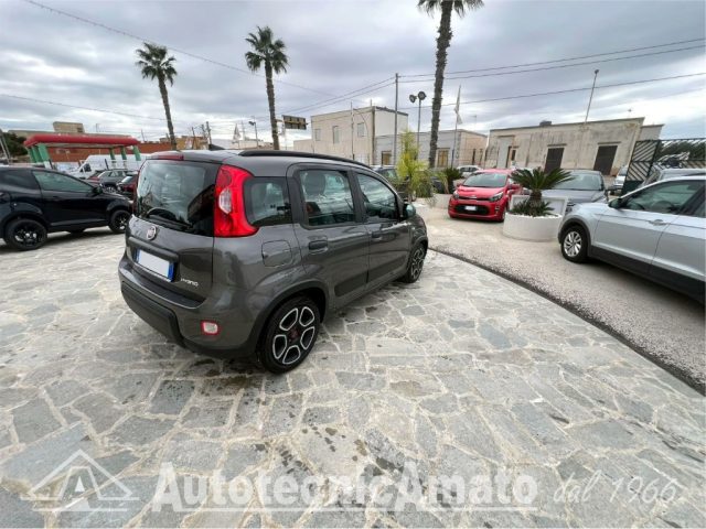 FIAT Panda 3° serie 1.0 FireFly S&S Hybrid City Life Immagine 4