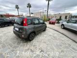 FIAT Panda 3° serie 1.0 FireFly S&S Hybrid City Life