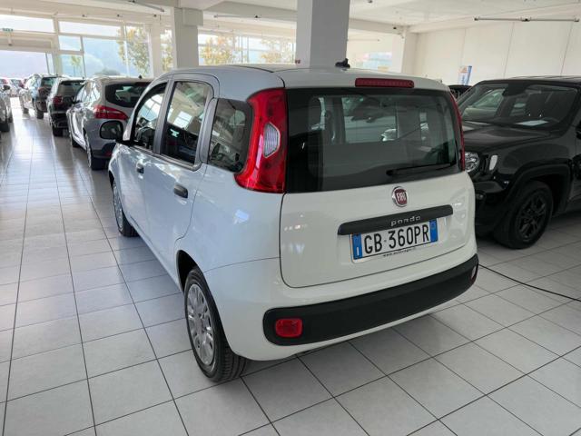 FIAT Panda 1.2 EasyPower Easy Immagine 3