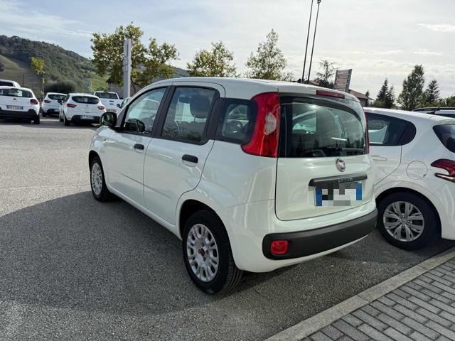 FIAT Panda 1.2 EasyPower Easy Immagine 3