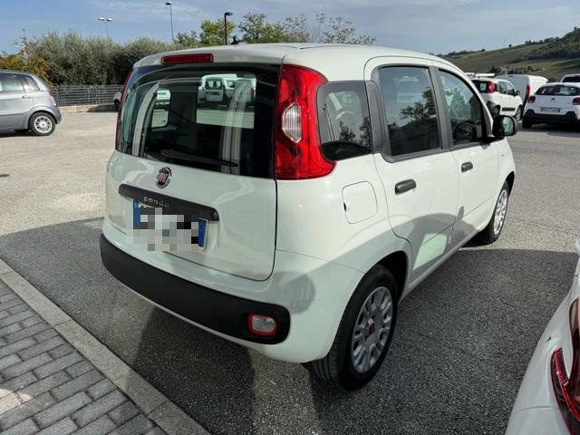 FIAT Panda 1.2 EasyPower Easy Immagine 2