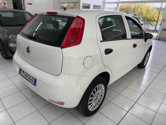 FIAT Punto 1.4 8V 5 porte Natural Power Street Immagine 2